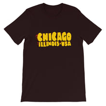 Load image into Gallery viewer, Chicago IL USA Unisex T-Shirt